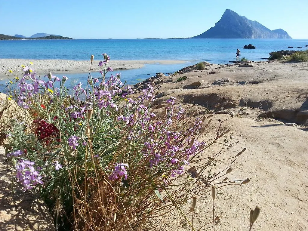Villetta Tavolara Loiri Porto San Paolo Italien